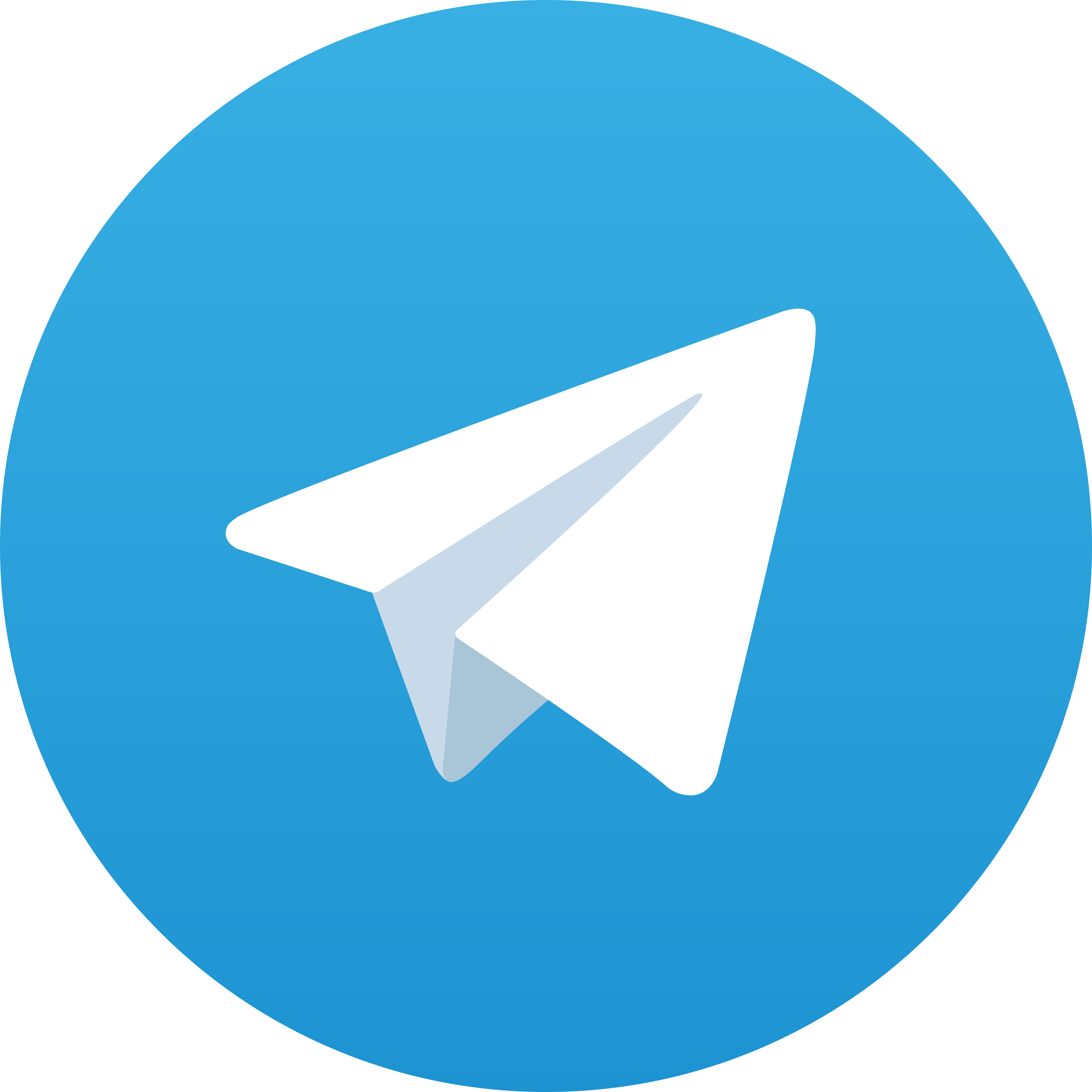Telegram Dindatogel
